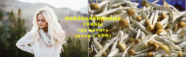 соль курить ск Алзамай