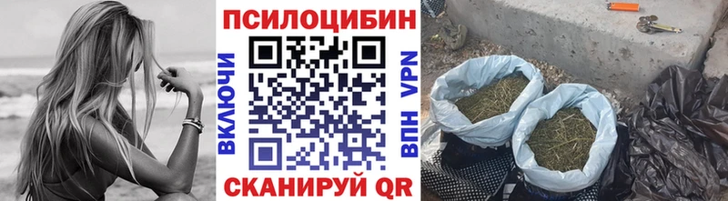 Псилоцибиновые грибы прущие грибы  закладка  Мышкин 